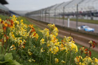 Anna Walewska / Mike Simpson - Century Motorsport - Ginetta G55 GT4 | Jakob Ebrey 