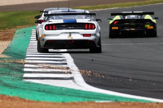 Harrison Newey / Chad McCumbee Multimatic Motorsports Ford Mustang GT4  | JEP