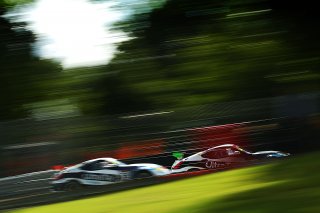 Tim Eakin / Kelvin Fletcher / Struan Moore - UltraTek Racing / Team RJN -Nissan 370Z GT4 | Jakob Ebrey Photography