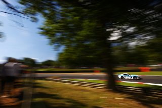 Stuart Middleton / William Tregurtha - HHC Motorsport - Ginetta G55 GT4  | Jakob Ebrey Photography