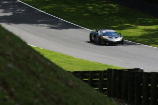 David Pattison / Joe Osborne - Tolman Motorsport - McLaren 570S GT4  | Jakob Ebrey Photography