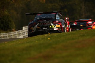 Michael Igoe / Adam Wilcox WPI Motorsport Porsche 911 GT3 Cup  | Jakob Ebrey Photography