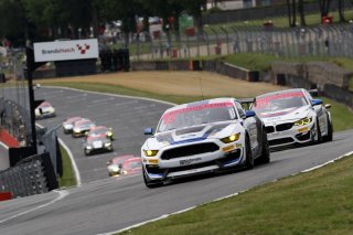 Scott Maxwell / Seb Priaulx Multimatic Motorsports Ford Mustang GT4  | JEP