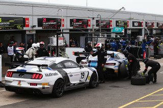 Sir Chris Hoy / Billy Johnson Multimatic Motorsports Ford Mustang GT4  | JEP