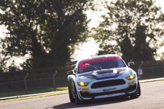Marco Signoretti / Ashley Davies Multimatic Motorsports Ford Mustang GT4  | JEP