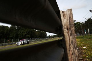 Richard Meaden / Jack Roush Multimatic Motorsports Ford Mustang GT4  | JEP