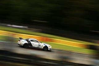 Richard Meaden / Jack Roush Multimatic Motorsports Ford Mustang GT4  | JEP