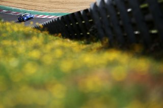 Mark Farmer / Nicki Thiim TF Sport Aston Martin V8 Vantage GT3  | JEP