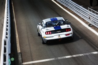 Scott Maxwell / Seb Priaulx Multimatic Motorsports Ford Mustang GT4  | JEP