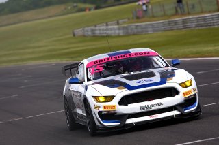 Scott Maxwell / Seb Priaulx Multimatic Motorsports Ford Mustang GT4  | JEP