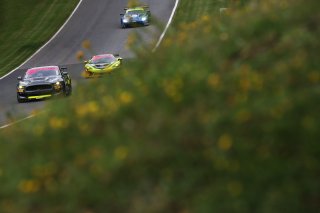 Sam Smelt / Aron Taylor-Smith RACE Performance Ford Mustang GT4  | JEP