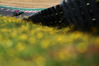 Mark Murfitt / Michael Broadhurst Fox Motorsport Mercedes-AMG GT4  | JEP