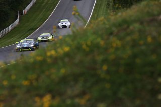 Oliver Wilkinson / Bradley Ellis Optimum Motorsport Aston Martin V8 Vantage GT3  | JEP