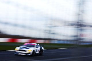 Scott Maxwell / Seb Priaulx Multimatic Motorsports Ford Mustang GT4  | JEP