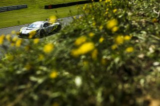 #2 James Baldwin / Michael O'Brien - Jenson Team Rocket RJN McLaren 720S GT3  | JEP