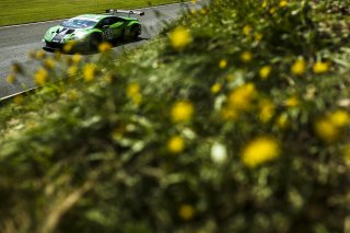 #55 John Seale / Marcus Clutton - JMH Auto Lamborghini Huracan GT3  | JEP 