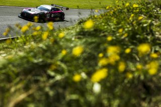 #69 Sam De Haan / Patrick Kujala - RAM Racing Mercedes-AMG GT3  | JEP
