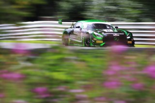 #8 Richard Neary / Sam Neary - Team ABBA Racing Mercedes-AMG GT3  | JEP