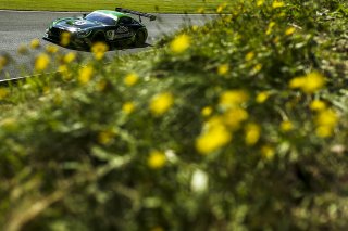 #8 Richard Neary / Sam Neary - Team ABBA Racing Mercedes-AMG GT3  | JEP