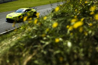 #95 Connor O'Brien / Patrick Kibble - TF Sport Aston Martin Vantage AMR GT4  | JEP