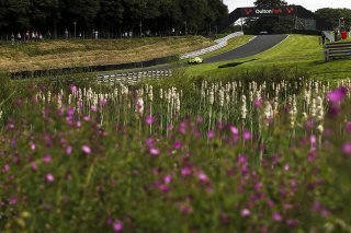 #97 Jamie Caroline / Daniel Vaughan - TF Sport Aston Martin Vantage AMR GT4  | JEP