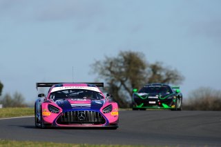 Sam De Haan / Patrick Kujala - RAM Racing Mercedes-AMG GT3  | JEP