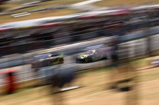 British GT Jaguar  | Jakob Ebrey