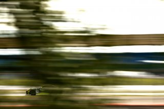 Paul Vice / Matthew George Invictus Games Racing Jaguar F-TYPE SVR GT4  | JEP