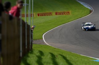Ciaran Haggerty / Sandy Mitchell Black Bull Ecurie Ecosse McLaren 570S GT4  | British GT