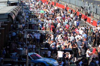 Fans on the pitwalk | Jakob Ebrey