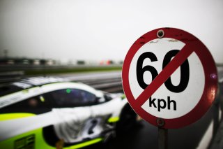 #2 James Baldwin / Michael O'Brien - Jenson Team Rocket RJN McLaren 720S GT3
 | Jakob Ebrey