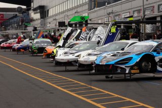 Intelligent Money British GT Championship
 | David Lord Photography