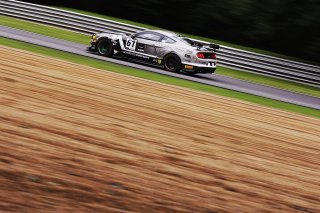 #61 Jordan Albert / Matt Cowley - Academy Motorsport Ford Mustang GT4
 | SRO Motorsports Group