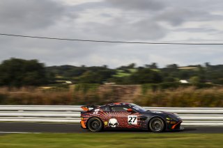 Matt Topham / Darren Turner - Newbridge Motorsport Aston Martin Vantage AMR GT4 
 | JEP