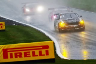 Will Moore / Matt Cowley - Academy Motorsport Ford Mustang GT4 Pirelli
 | JEP
