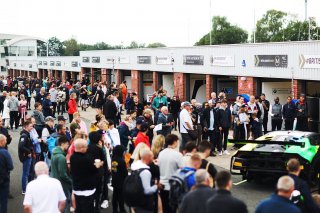 British GT Fans
 | JEP
