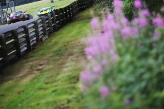 Matt Topham / Darren Turner - Newbridge Motorsport Aston Martin Vantage AMR GT4
 | SRO Motorsports Group