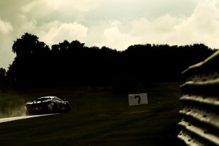 Nick Halstead / Jamie Stanley - Fox Motorsport McLaren 570S GT4
 | JEP