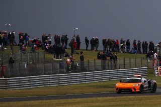 Safety Car | SRO Motorsports Group