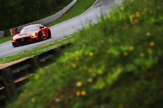 Dave Whitmore / Jake Giddings - Car Gods with Ciceley Motorsport Mercedes-AMG GT4
 | Jakob Ebrey