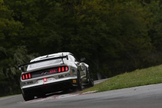 Will Moore / Matt Cowley - Academy Motorsport Ford Mustang GT4
 | Jakob Ebrey