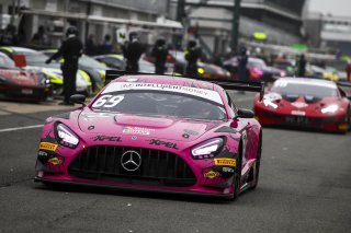 James Cottingham / Sam De Haan - RAM Racing Mercedes-AMG GT3
 | JEP