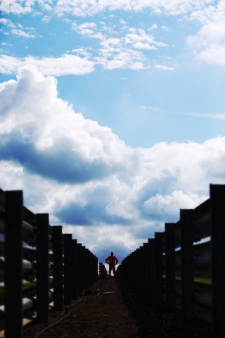 Marshall
 | www.jakobebrey.com