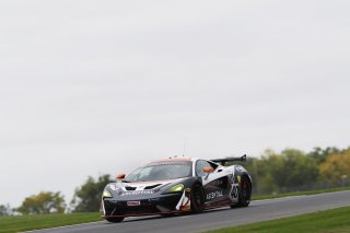 Nick Halstead / Jamie Stanley - Fox Motorsport McLaren 570S GT4
 | JEP
