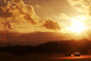 Nick Halstead / Jamie Stanley - Fox Motorsport McLaren 570S GT4
 | James Roberts
