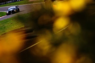 Mark Sansom / Will Tregurtha - Assetto Motorsport Bentley Continental GT3
 | SRO Motorsports Group