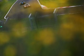 Richard Williams / Sennan Fielding - Steller Motorsport Audi R8 LMS GT4
 | British GT/JEP