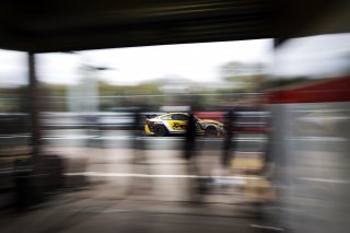 Jack Brown / Will Burns - Century Motorsport BMW M4 GT4
 | SRO Motorsports Group