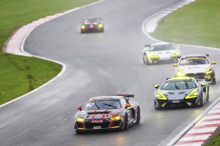 Richard Williams / Sennan Fielding - Steller Motorsport Audi R8 LMS GT4
 | SRO Motorsports Group