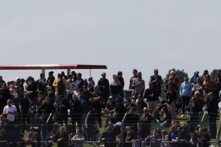 Crowds at Silverstone
 | British GT/JEP